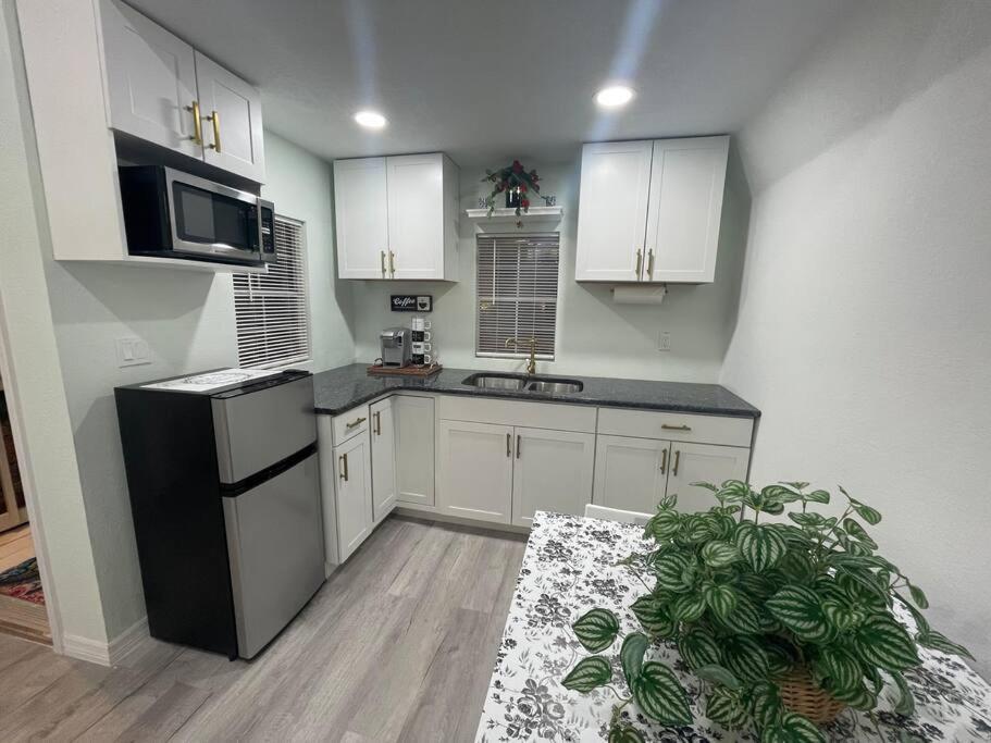 The Tiny Cottage In The Springs/ Central Fl ألتامونتي سبرينجز المظهر الخارجي الصورة