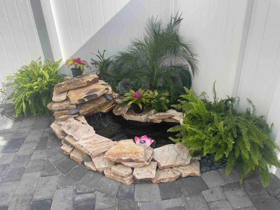 The Tiny Cottage In The Springs/ Central Fl ألتامونتي سبرينجز المظهر الخارجي الصورة